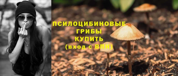apvp Балахна