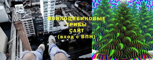 apvp Балахна