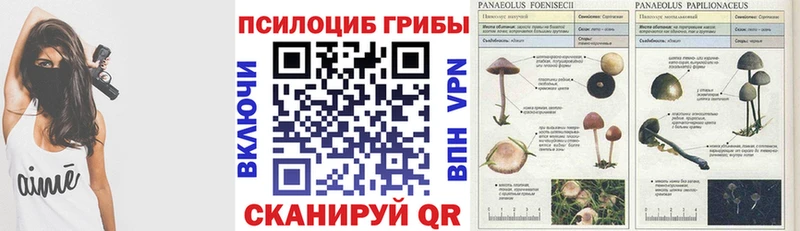 Псилоцибиновые грибы прущие грибы  Заринск 
